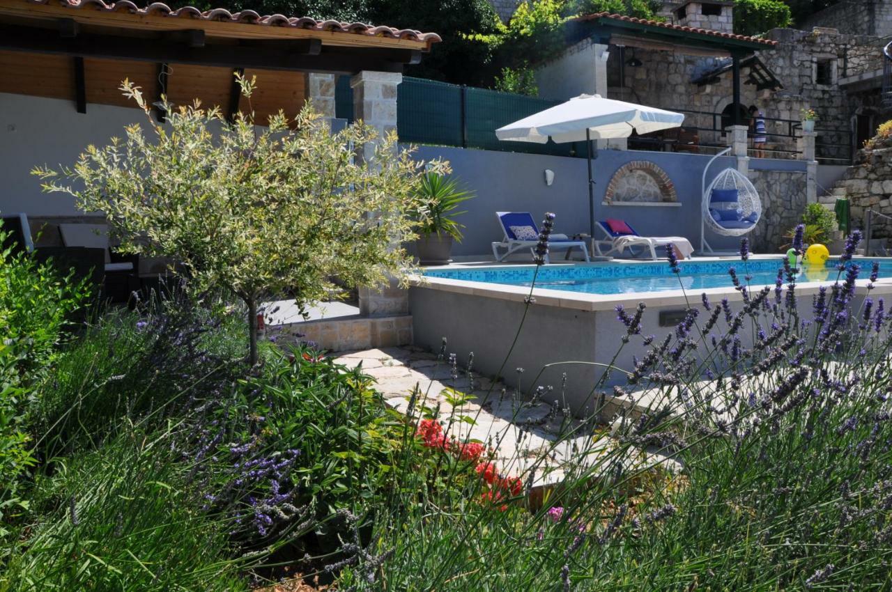 Divna Villa